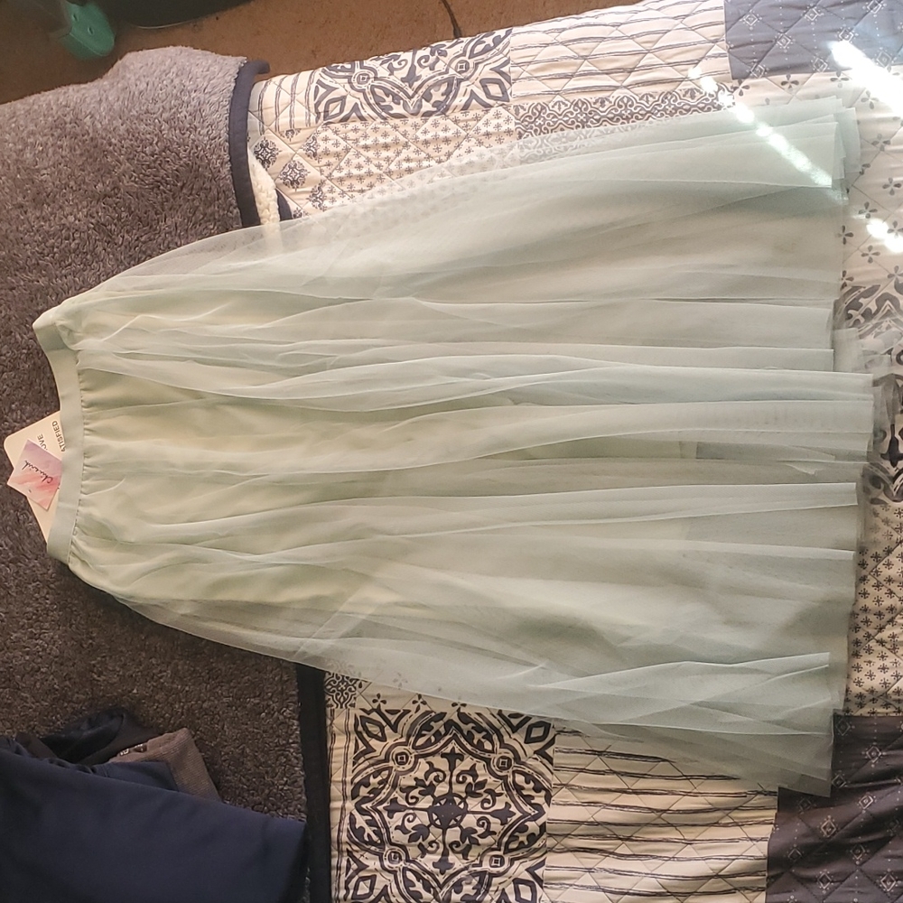 Mint green sheer skirt